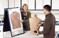 AN 1190 Anterior Auscultation Practice Board in use on left hand side. It is shown with AN1142 Auscultation Trainer and Smartscope